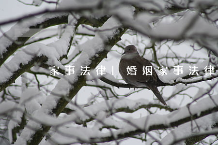 家事法律|婚姻家事法律常識11問